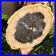 8_7LB_Large_Natural_Petrified_Wood_Crystal_Fossil_Slice_Shape_Specimen_Healing_01_slt