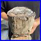 8_7lb_Rare_Natural_petrified_wood_rough_Wood_fossil_mineral_specimen_healing_01_ja