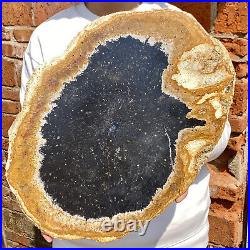 8.9LB Large Natural Petrified Wood Crystal Fossil Slice Shape Healing Specimen