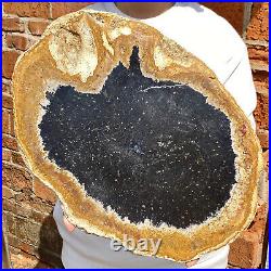 8.9LB Large Natural Petrified Wood Crystal Fossil Slice Shape Healing Specimen