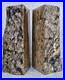 8_lbs_Natural_Madagascar_Polished_Petrified_Wood_Crystal_Mineral_Fossil_Bookends_01_xht