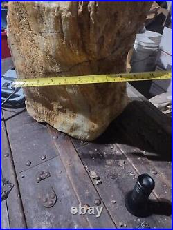 91 LBS Massive Completely Agatized with Opalized Bark Petrified Wood