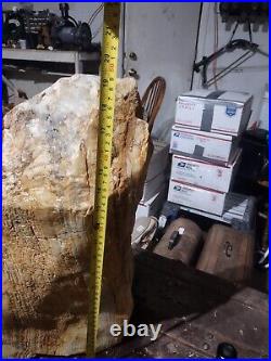 91 LBS Massive Completely Agatized with Opalized Bark Petrified Wood