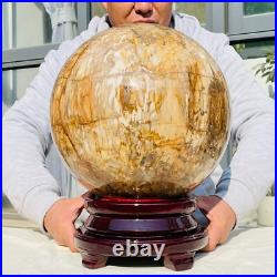 92.58lb Large Natural Petrified Wood Fossil Quartz Crystal Sphere Ball Healing 92.58lb Large Natural Petrified Wood Fossil Quartz Crystal Sphere Ball Healing