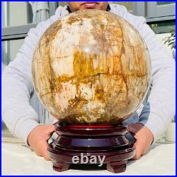 92.58lb Large Natural Petrified Wood Fossil Quartz Crystal Sphere Ball Healing 92.58lb Large Natural Petrified Wood Fossil Quartz Crystal Sphere Ball Healing