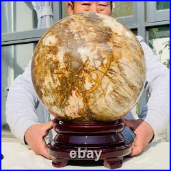 92.58lb Large Natural Petrified Wood Fossil Quartz Crystal Sphere Ball Healing 92.58lb Large Natural Petrified Wood Fossil Quartz Crystal Sphere Ball Healing