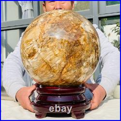 92.58lb Large Natural Petrified Wood Fossil Quartz Crystal Sphere Ball Healing 92.58lb Large Natural Petrified Wood Fossil Quartz Crystal Sphere Ball Healing