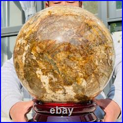 92.58lb Large Natural Petrified Wood Fossil Quartz Crystal Sphere Ball Healing 92.58lb Large Natural Petrified Wood Fossil Quartz Crystal Sphere Ball Healing