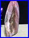 937g_172mm_Natural_Petrified_Wood_Crystal_Polished_stone_Madagascar_Decor_01_ipne
