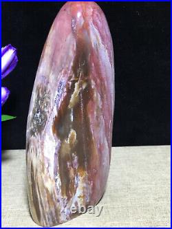 937g 172mm Natural Petrified Wood Crystal Polished stone Madagascar Decor