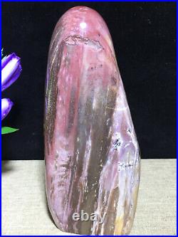 937g 172mm Natural Petrified Wood Crystal Polished stone Madagascar Decor