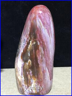 937g 172mm Natural Petrified Wood Crystal Polished stone Madagascar Decor
