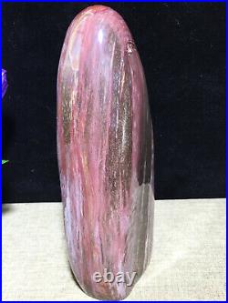 937g 172mm Natural Petrified Wood Crystal Polished stone Madagascar Decor