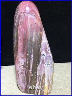 937g 172mm Natural Petrified Wood Crystal Polished stone Madagascar Decor