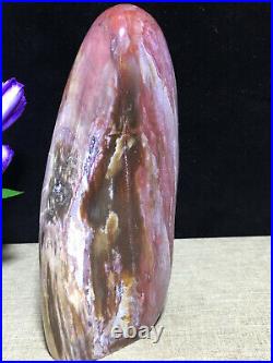 937g 172mm Natural Petrified Wood Crystal Polished stone Madagascar Decor