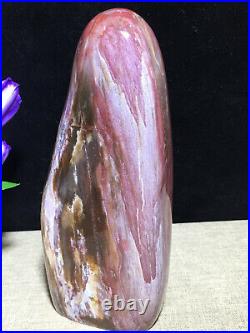937g 172mm Natural Petrified Wood Crystal Polished stone Madagascar Decor