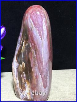 937g 172mm Natural Petrified Wood Crystal Polished stone Madagascar Decor