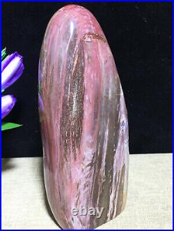 937g 172mm Natural Petrified Wood Crystal Polished stone Madagascar Decor