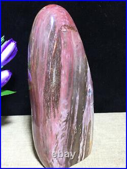 937g 172mm Natural Petrified Wood Crystal Polished stone Madagascar Decor