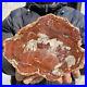 940g_Rare_Natural_petrified_wood_rough_Wood_fossil_mineral_specimen_healing_01_gkj