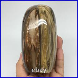 952g, 4.7x2.7x2.5 Natural Petrified Wood Freeform Polished Gemstones, B924