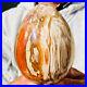 955g_Natural_Petrified_wood_quartz_dragon_egg_Crystal_specimen_Healing_01_po