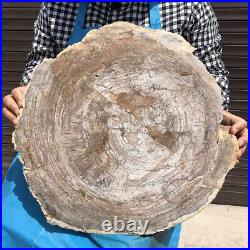 9840G Natural Petrified Wood Fossil Crystal Polished Slice Madagascar 30