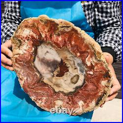 9.08LB Natural Petrified Wood Fossil Crystal Polished Slice Madagascar