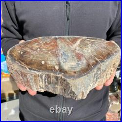 9.2LB Natural petrified wood rough Wood fossil mineral specimen healing energy 9.2LB Natural petrified wood rough Wood fossil mineral specimen healing energy