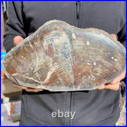 9.2LB Natural petrified wood rough Wood fossil mineral specimen healing energy 9.2LB Natural petrified wood rough Wood fossil mineral specimen healing energy