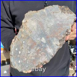 9.2LB Natural petrified wood rough Wood fossil mineral specimen healing energy 9.2LB Natural petrified wood rough Wood fossil mineral specimen healing energy