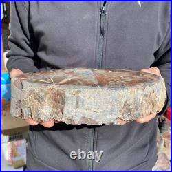 9.2LB Natural petrified wood rough Wood fossil mineral specimen healing energy 9.2LB Natural petrified wood rough Wood fossil mineral specimen healing energy