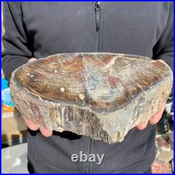 9.2LB Natural petrified wood rough Wood fossil mineral specimen healing energy 9.2LB Natural petrified wood rough Wood fossil mineral specimen healing energy