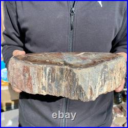 9.2LB Natural petrified wood rough Wood fossil mineral specimen healing energy 9.2LB Natural petrified wood rough Wood fossil mineral specimen healing energy