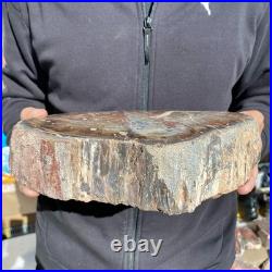 9.2LB Natural petrified wood rough Wood fossil mineral specimen healing energy 9.2LB Natural petrified wood rough Wood fossil mineral specimen healing energy