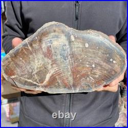 9.2LB Natural petrified wood rough Wood fossil mineral specimen healing energy 9.2LB Natural petrified wood rough Wood fossil mineral specimen healing energy
