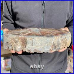 9.2LB Natural petrified wood rough Wood fossil mineral specimen healing energy 9.2LB Natural petrified wood rough Wood fossil mineral specimen healing energy