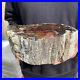 9_2lb_Rare_Natural_petrified_wood_rough_Wood_fossil_mineral_specimen_healing_01_imlk