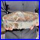 9_2lb_Rare_Natural_petrified_wood_rough_Wood_fossil_mineral_specimen_healing_01_xkqf