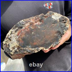 9.2lb Rare Natural petrified wood rough Wood fossil mineral specimen healing 9.2lb Rare Natural petrified wood rough Wood fossil mineral specimen healing