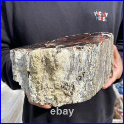 9.2lb Rare Natural petrified wood rough Wood fossil mineral specimen healing 9.2lb Rare Natural petrified wood rough Wood fossil mineral specimen healing