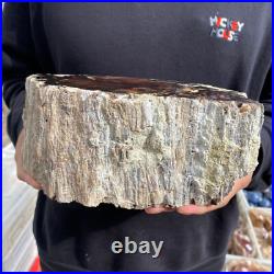 9.2lb Rare Natural petrified wood rough Wood fossil mineral specimen healing 9.2lb Rare Natural petrified wood rough Wood fossil mineral specimen healing