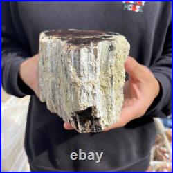 9.2lb Rare Natural petrified wood rough Wood fossil mineral specimen healing 9.2lb Rare Natural petrified wood rough Wood fossil mineral specimen healing