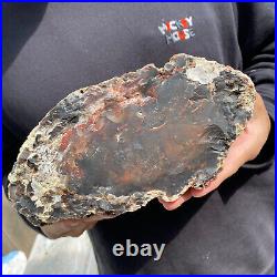 9.2lb Rare Natural petrified wood rough Wood fossil mineral specimen healing 9.2lb Rare Natural petrified wood rough Wood fossil mineral specimen healing