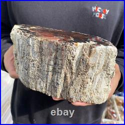 9.2lb Rare Natural petrified wood rough Wood fossil mineral specimen healing 9.2lb Rare Natural petrified wood rough Wood fossil mineral specimen healing
