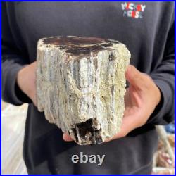 9.2lb Rare Natural petrified wood rough Wood fossil mineral specimen healing 9.2lb Rare Natural petrified wood rough Wood fossil mineral specimen healing