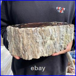 9.2lb Rare Natural petrified wood rough Wood fossil mineral specimen healing 9.2lb Rare Natural petrified wood rough Wood fossil mineral specimen healing