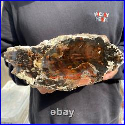 9.2lb Rare Natural petrified wood rough Wood fossil mineral specimen healing 9.2lb Rare Natural petrified wood rough Wood fossil mineral specimen healing