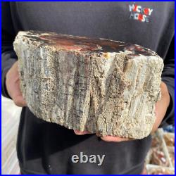 9.2lb Rare Natural petrified wood rough Wood fossil mineral specimen healing 9.2lb Rare Natural petrified wood rough Wood fossil mineral specimen healing