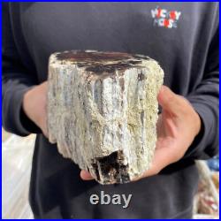 9.2lb Rare Natural petrified wood rough Wood fossil mineral specimen healing 9.2lb Rare Natural petrified wood rough Wood fossil mineral specimen healing
